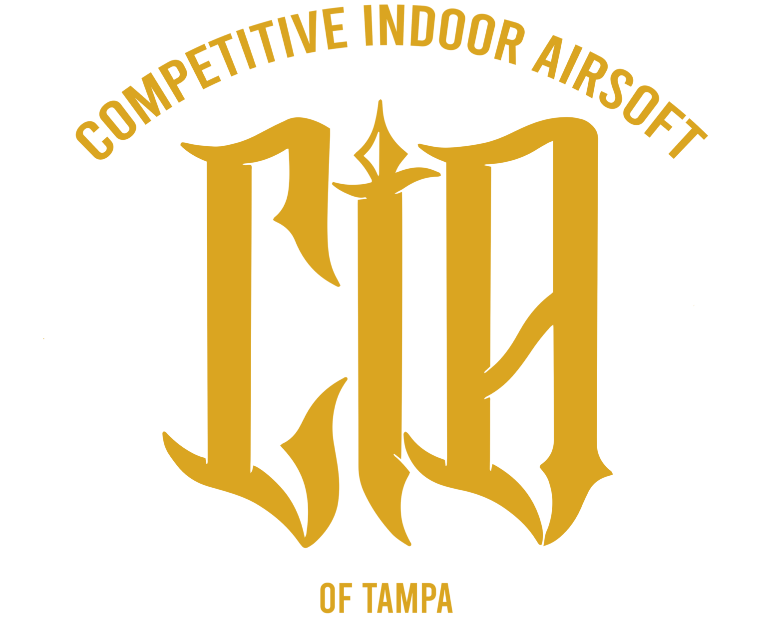 Competitive Indoor Airsoft